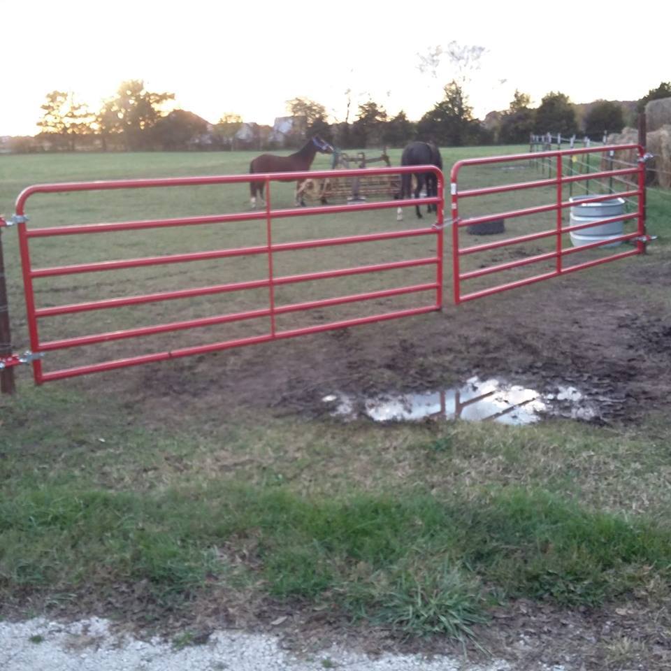 1057960781